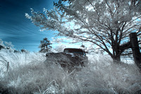 IR Abandoned Autos