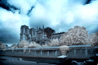 Notre Dame - after the fire - 3