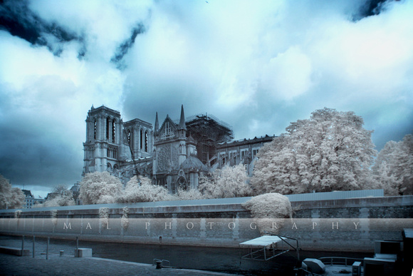 Notre Dame - after the fire - 3